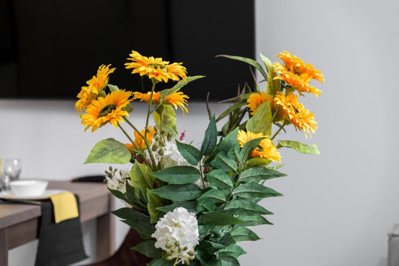 Apartments Poznan Chwaliszewo Residence With Free Garage By Noclegi Renters 외부 사진